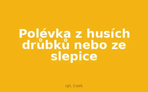 Polévka z husích drůbků nebo ze slepice