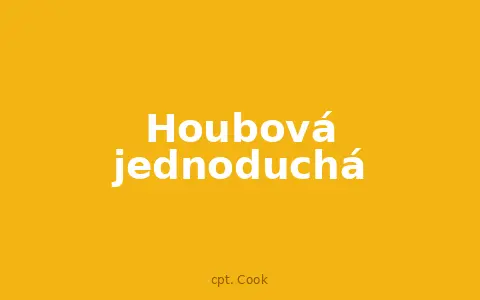 Houbová jednoduchá