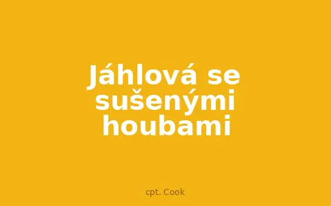 Jáhlová se sušenými houbami