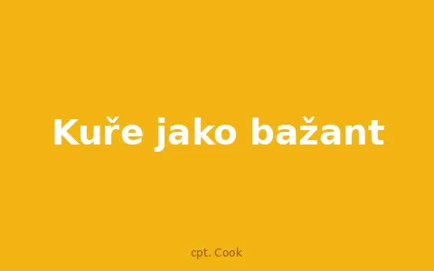 Kuře jako bažant