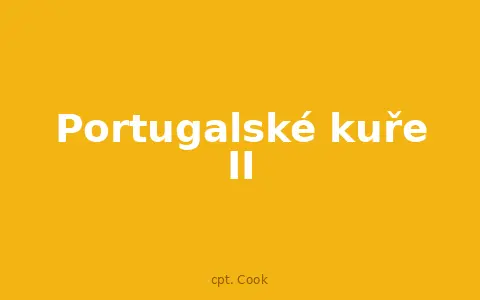 Portugalské kuře II