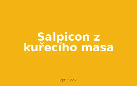 Salpicon z kuřecího masa