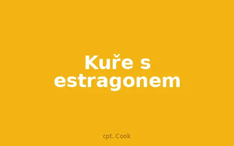 Kuře s estragonem