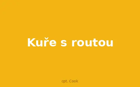 Kuře s routou