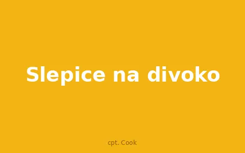 Slepice na divoko
