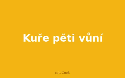 Kuře pěti vůní