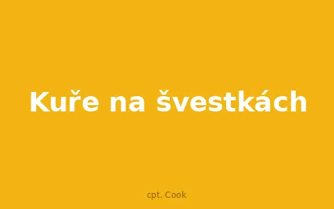 Kuře na švestkách