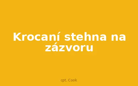 Krocaní stehna na zázvoru