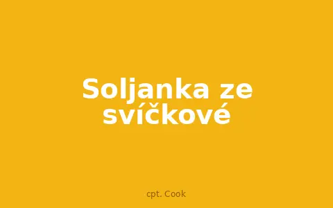 Soljanka ze svíčkové
