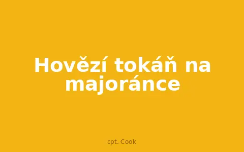 Hovězí tokáň na majoránce