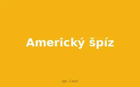 Americký špíz