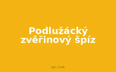 Podlužácký zvěřinový špíz