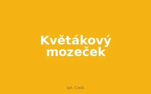 Květákový mozeček