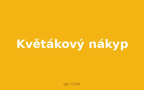 Květákový nákyp