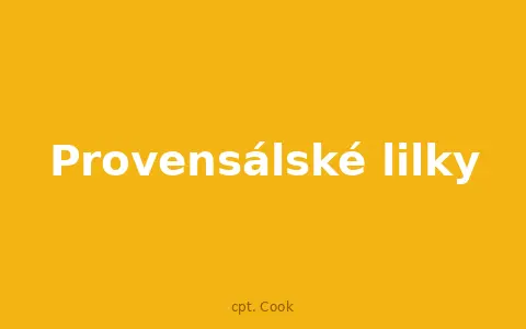 Provensálské lilky