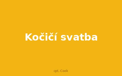 Kočičí svatba
