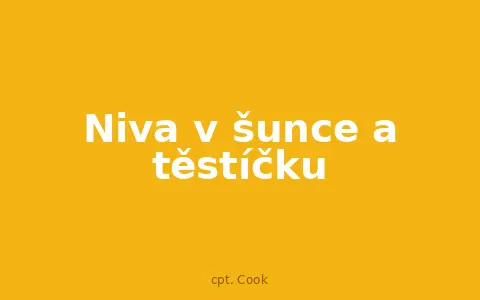 Niva v šunce a těstíčku