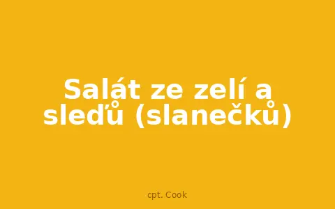 Salát ze zelí a sleďů (slanečků)