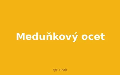 Meduňkový ocet