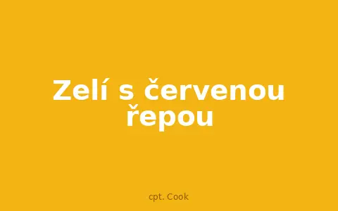 Zelí s červenou řepou